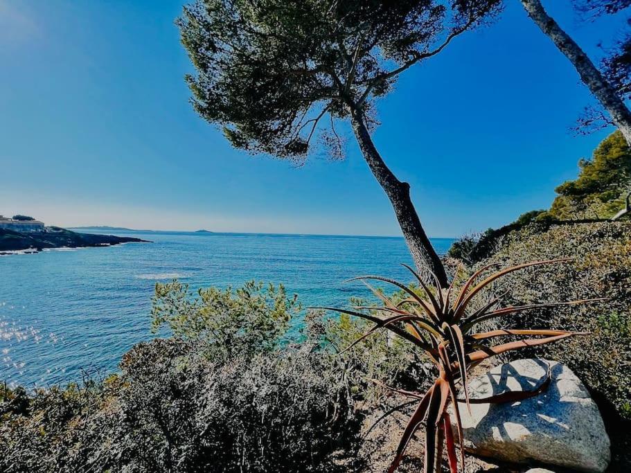 Ferienwohnung Escapade Au Coeur De Sanary Exterior foto
